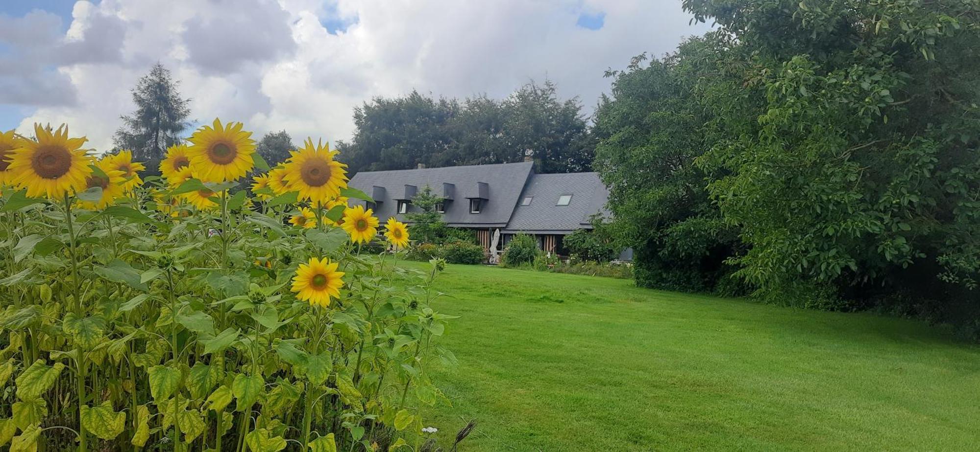 Le Lit De La Saane Bed & Breakfast Auzouville-sur-Saane Exterior photo